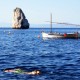 Mediterranean style yoga scuba diving Medes Islands